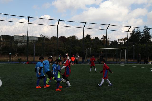 卡里乌斯：可能会考虑退役